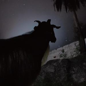 can't forget (Explicit)