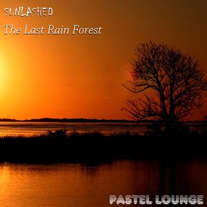 The Last Rain Forest