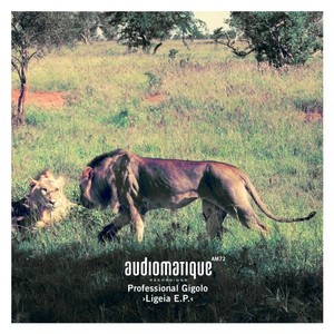 Ligeia (The Unhottest Remix)