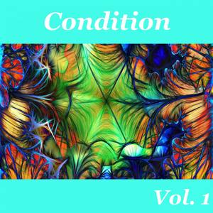 Condition, Vol. 1