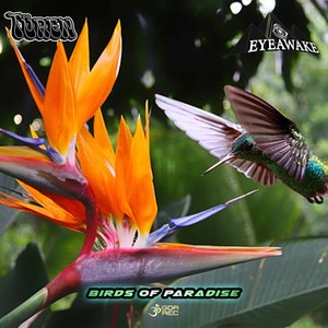 Birds of Paradise (Original Mix)