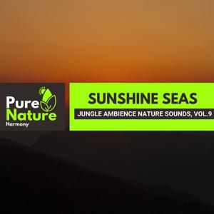 Sunshine Seas - Jungle Ambience Nature Sounds, Vol.9