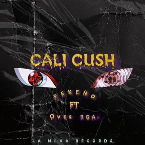Calicush (feat. Oves bga) (Explicit)
