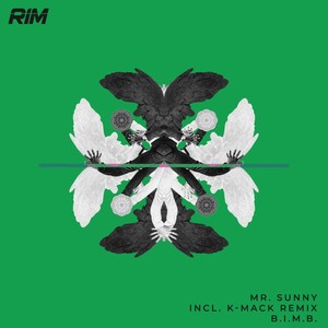 B.I.M.B. (Radio Edit)