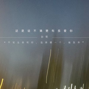 还是说不清楚有多爱你