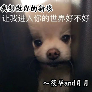 我想做你的新娘