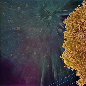 The Endless Hourglass