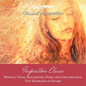 Military Marches, Op. 39 - No. 1 in D Major, March - Allegro, con molto fuoco - Trio - argamente - Molto maestoso