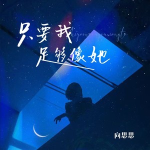 只要我足够像她 (DJ版)