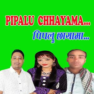 Pipalu Chhayama | Bal Bahaur Pariyar & Bishnu Khatri (Ankita) (feat. Bishnu Khatri (Ankita))