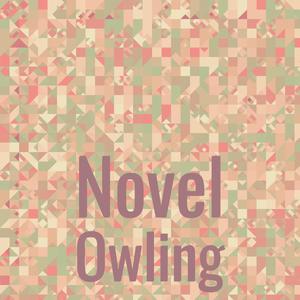 Novel Owling