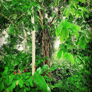 Realer(feat. Porchy) (CHEF UKG RMX|Explicit)