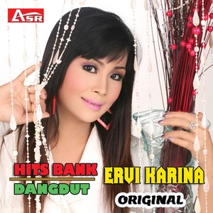 HIT'S BANK ERVI KARINA