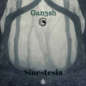 Sinestesia