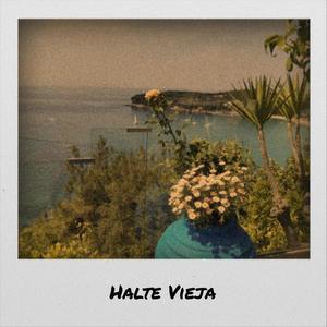 Halte Vieja