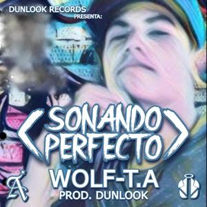 Sonando Perfecto (Explicit)