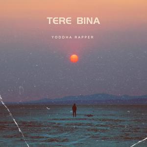 Tere Bina