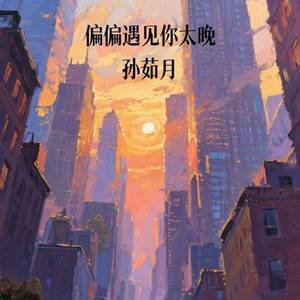 偏偏遇见你太晚