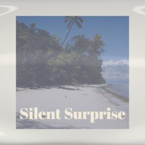 Silent Surprise