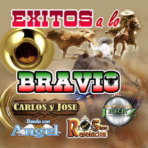 Exitos A Lo Bravio