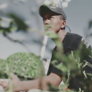 叶别流泪 (最新版)