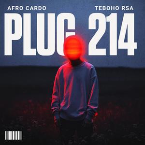 Plug 214 (feat. Teboho rsa)