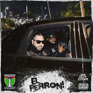 El Perron (feat. Metro703) (Explicit)