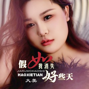 假如我消失好些天