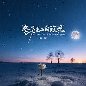冬天里的白玫瑰 (女版)封面