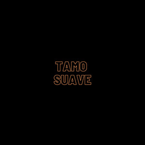 Tamo Suave (Remix) [Explicit]