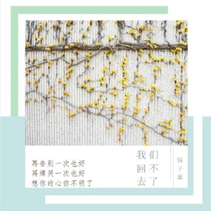 我们回不去了 (伴奏) - 容子嘉封面