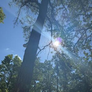 How you like me now (Explicit)