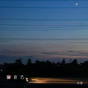骗自己封面