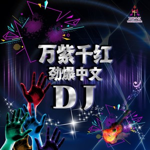 执迷成空 (DJ佐罗版伴奏)