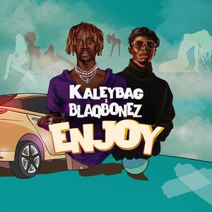 Enjoy (feat. Blaqbonez) (Explicit)