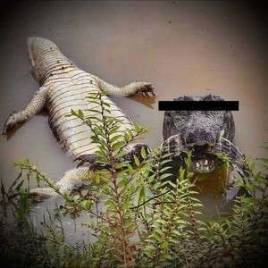 Lee n Slim 2 (Explicit)