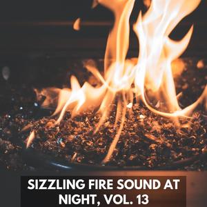 Sizzling Fire Sound at Night, Vol. 13