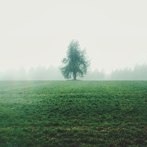 슬픈 계산이 없었던 시절 (The days of innocence)