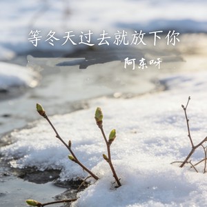 等冬天过去就放下你