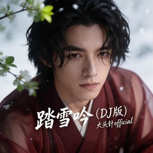 踏雪吟 - 大头针 Official封面