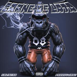 Rufilin (feat. Prod by Jane) (Explicit)