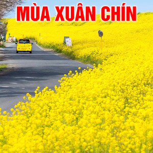 Mùa xuân chín