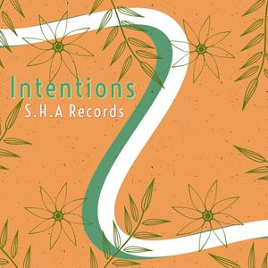 Intentions (Explicit)