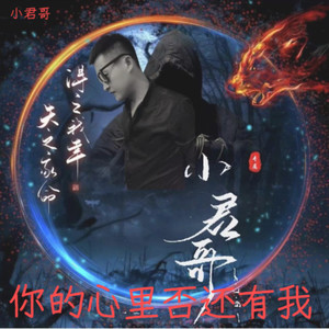 你的心里是否还有我 (伴奏)