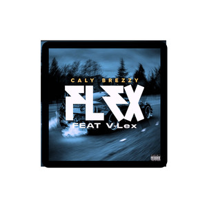 Flex (Explicit)
