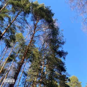 ambience в сторону дома