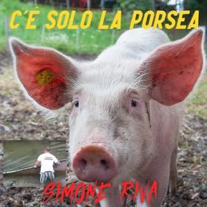 C'è solo la porsea