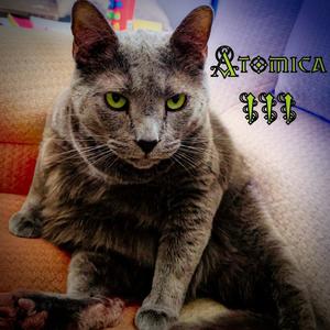 Atomica III
