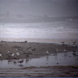 White Noise Sounds: A Stormy Day at the Beach