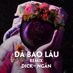 Đã Bao Lâu (Remix)